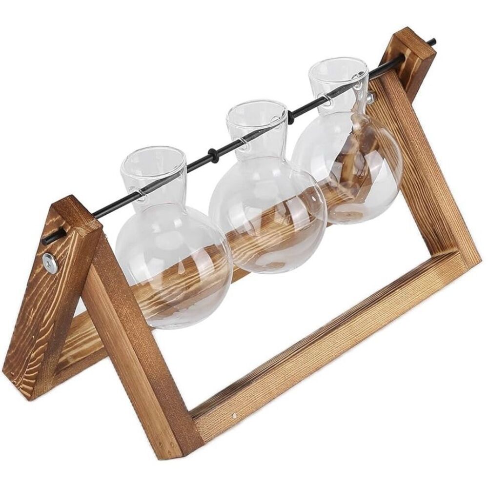 Plant Bulb Terrarium with Wooden Stand